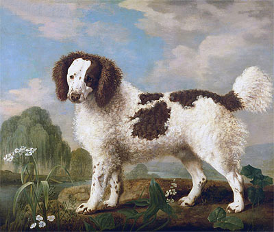 Brown and White Norfolk or Water Spaniel, 1778 | George Stubbs | Painting Reproduction