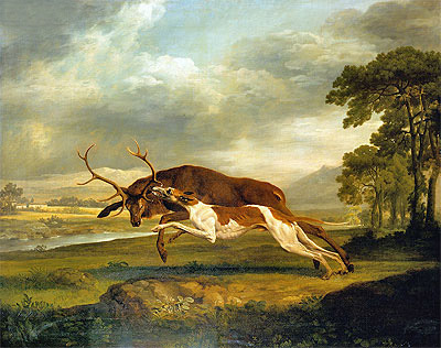 Hound Coursing a Stag, c.1762 | George Stubbs | Painting Reproduction