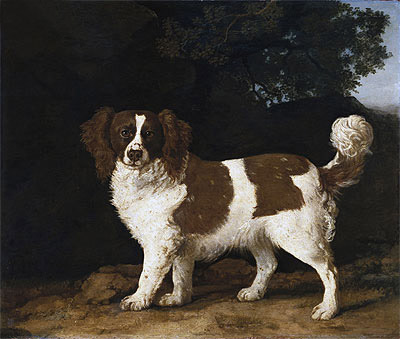 Fanny, the Favourite Spaniel of Mrs. Musters, Standing in a Wooded Landscape, 1777 | George Stubbs | Painting Reproduction