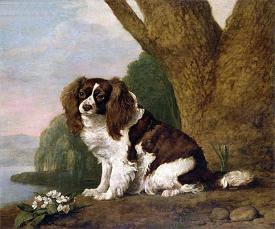 Fanny, a Brown and White Spaniel, 1778 by George Stubbs | Painting Reproduction