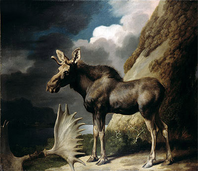 Moose, 1770 | George Stubbs | Painting Reproduction