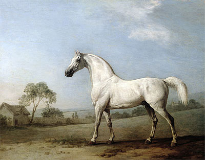 Mambrino, 1779 | George Stubbs