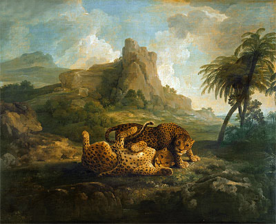 Leopards at Play, c.1763/68 | George Stubbs | Gemälde Reproduktion