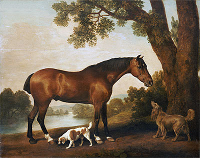 A Bay Hunter, a Springer Spaniel and a Sussex Spaniel, 1782 | George Stubbs | Gemälde Reproduktion