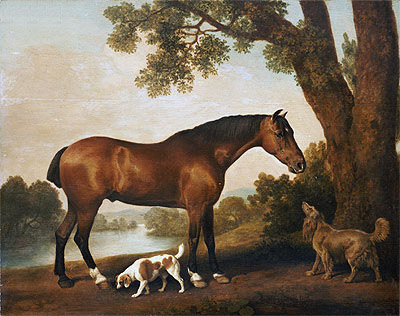 A Bay Hunter, a Springer Spaniel and a Sussex Spaniel, 1782 | George Stubbs