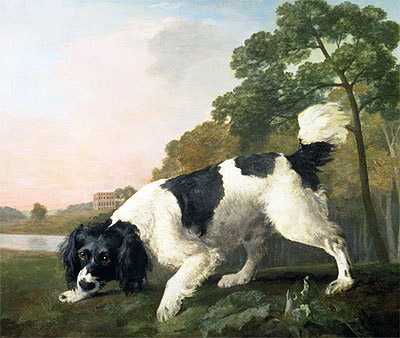 A Spaniel in a Landscape, 1771 | George Stubbs | Gemälde Reproduktion