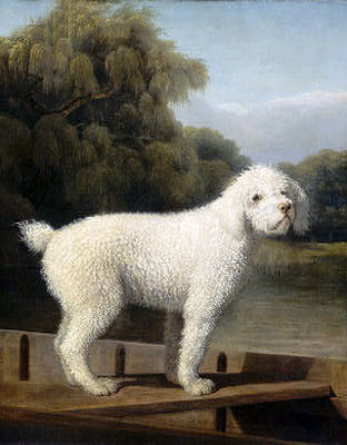 White Poodle in a Punt, c.1780 | George Stubbs | Painting Reproduction