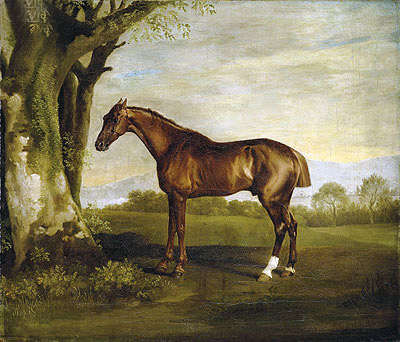 Antinoüs, a Chestnut Racehorse in a Landscape, n.d. | George Stubbs