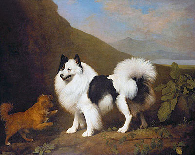 Fino and Tiny, 1791 | George Stubbs