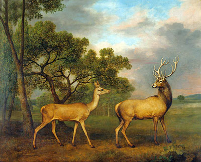 Red Deer, a Buck and a Doe, 1792 | George Stubbs | Painting Reproduction