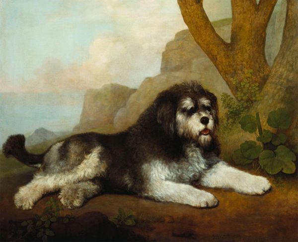 A Rough Dog, 1790 | George Stubbs | Gemälde Reproduktion