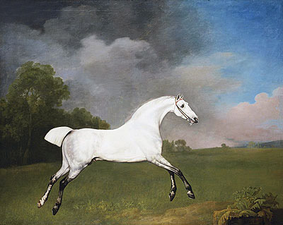 A Grey Horse | George Stubbs | Painting Reproduction