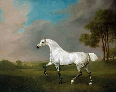 Ein graues Pferd, 1793 | George Stubbs | Gemälde Reproduktion