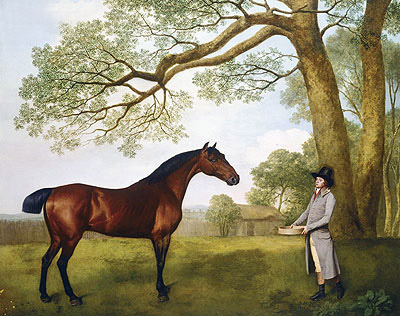 John Gascoigne with a Bay Horse, 1791 | George Stubbs | Gemälde Reproduktion