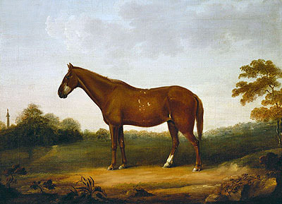 A Chestnut Cob in the Park at Gibside, c.1800/50 | George Stubbs | Painting Reproduction