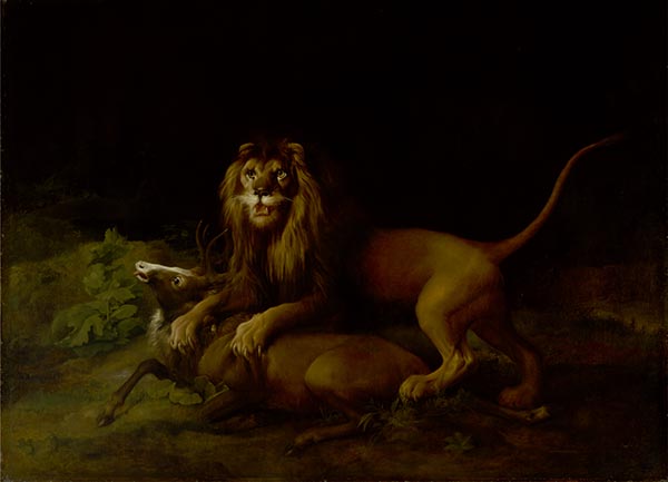 Ein Löwe greift Hirsch an, c.1765/66 | George Stubbs | Gemälde Reproduktion