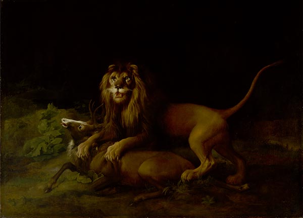 A Lion Attacking a Stag | George Stubbs | Painting Reproduction