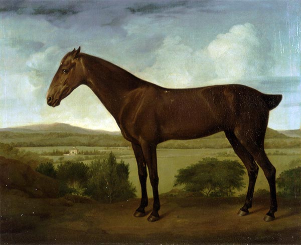 Braunes Pferd in hügeliger Landschaft | George Stubbs | Gemälde Reproduktion