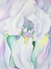 Light Iris, 1924 by O'Keeffe | Painting Reproduction