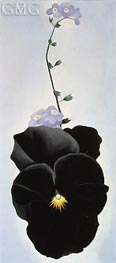 Pansy, 1926 by O'Keeffe | Painting Reproduction