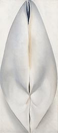 Closed Clam Shell, 1926 by O'Keeffe | Painting Reproduction