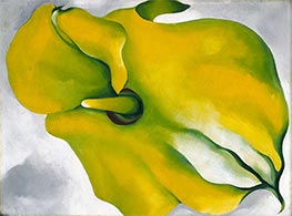 Gelbe Calla, 1926 von O'Keeffe | Gemälde-Reproduktion