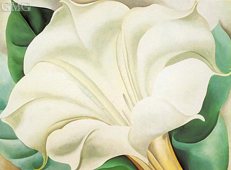 White Trumpet Flower, 1932 | O'Keeffe | Painting Reproduction
