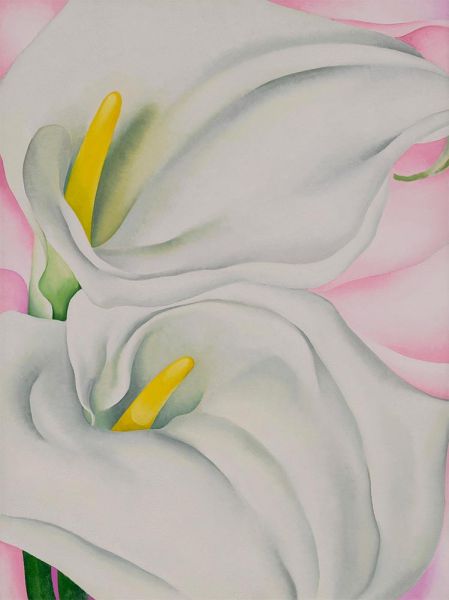 Two Calla Lilies on Pink | O'Keeffe | Painting Reproduction