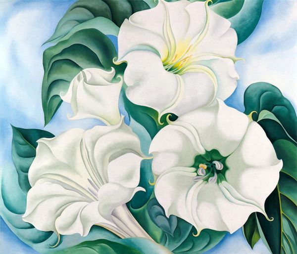 Jimson Weed | O'Keeffe | Painting Reproduction