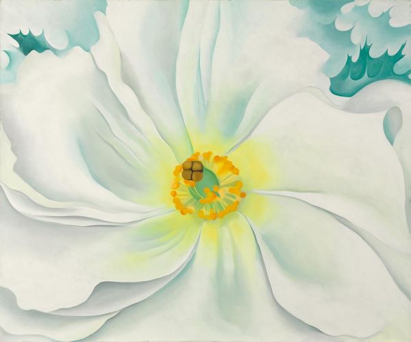 White Flower | O'Keeffe | Painting Reproduction