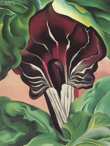 Jack-in-der-Kanzel II | O'Keeffe | Gemälde Reproduktion