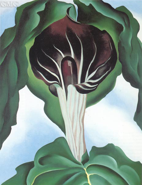 Jack-in-der-Kanzel III | O'Keeffe | Gemälde Reproduktion