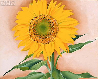 A Sunflower from Maggie | O'Keeffe | Painting Reproduction