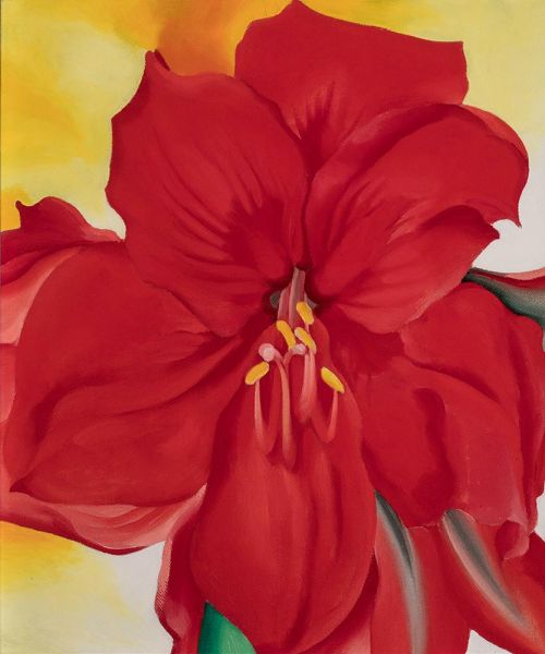 Rote Amaryllis, 1937 | O'Keeffe