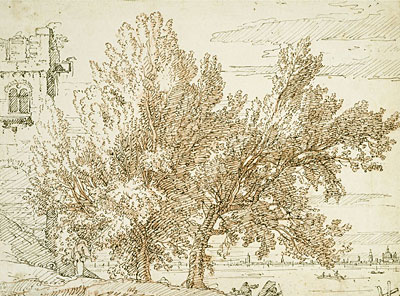 Bäume an den Ufern der Lagune, c.1740/45 von Canaletto | Gemälde-Reproduktion
