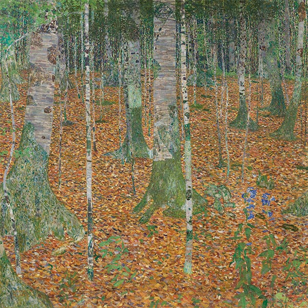 Birkenwälder, 1903 | Klimt | Gemälde Reproduktion