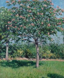 Rosa Ross Kastanie, Ebene von Argenteuil | Caillebotte | Gemälde Reproduktion