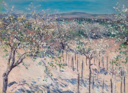Obstgarten mit blühenden Apfelbäumen, Colombes | Caillebotte | Gemälde Reproduktion