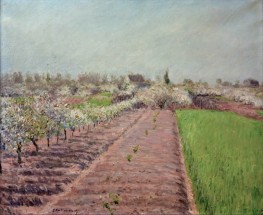 Blossoming Apple Trees, Hill of Colombes | Caillebotte | Painting Reproduction