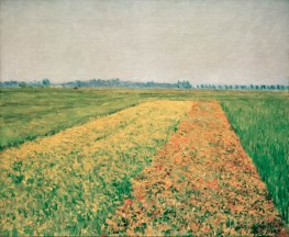 The Plains of Gennevilliers, Yellow Fields | Caillebotte | Painting Reproduction