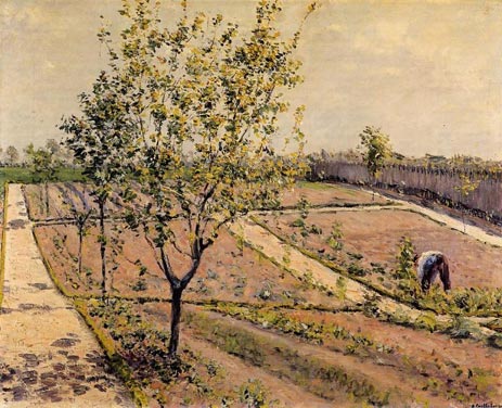 Kitchen Garden, Petit Gennevilliers, 1882 | Caillebotte | Painting Reproduction
