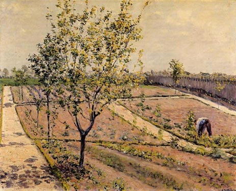 Kitchen Garden, Petit Gennevilliers | Caillebotte | Painting Reproduction