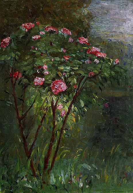 Rose Bush in Flower, 1884 | Caillebotte | Painting Reproduction