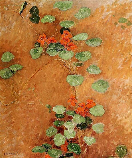 Nasturtiums, 1892 | Caillebotte | Painting Reproduction