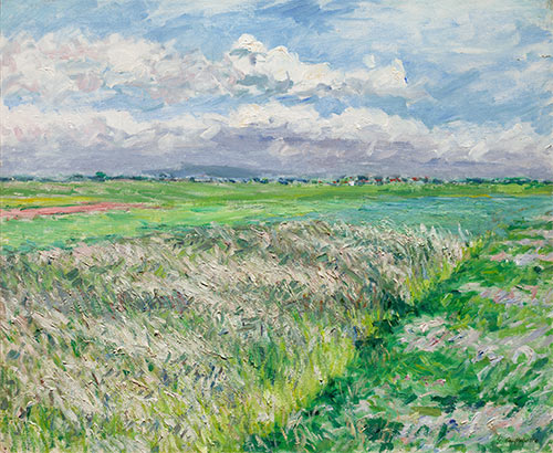 Die Felder, eine Ebene in Gennevilliers, 1884 von Caillebotte | Leinwand-Kunstdruck