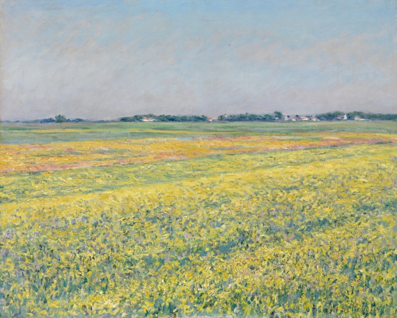 Die Ebene von Gennevilliers, gelbe Felder, 1884 | Caillebotte