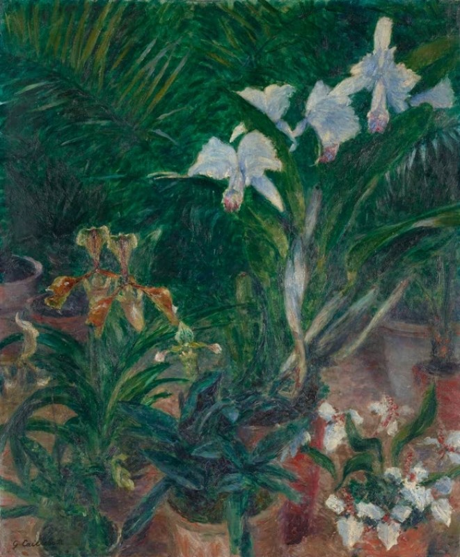 Orchids in the Greenhouse at Petit Gennevilliers, 1893 | Caillebotte