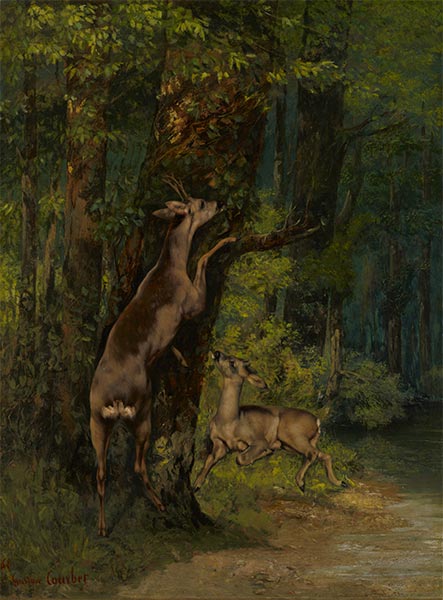 Hirsche im Wald, 1868 | Courbet | Gemälde Reproduktion
