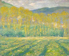 Yellow Trees, Giverny, Undated by Guy Rose | Painting Reproduction