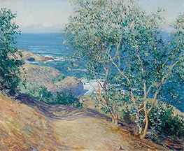 Indian Tobacco Trees, La Jolla, Undated by Guy Rose | Painting Reproduction